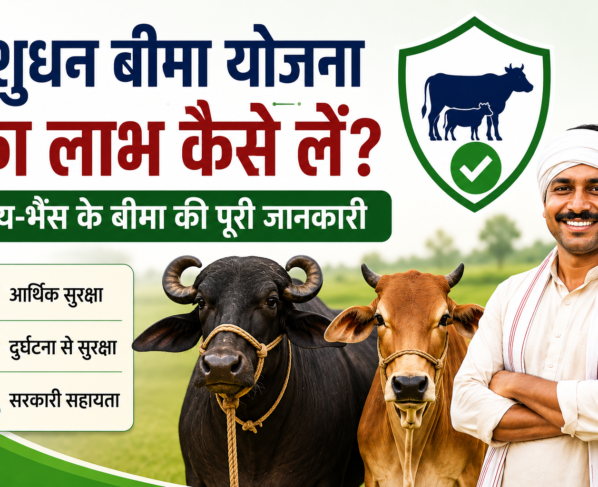 Pashudhan Bima Yojana Ka Labh Kaise Le?