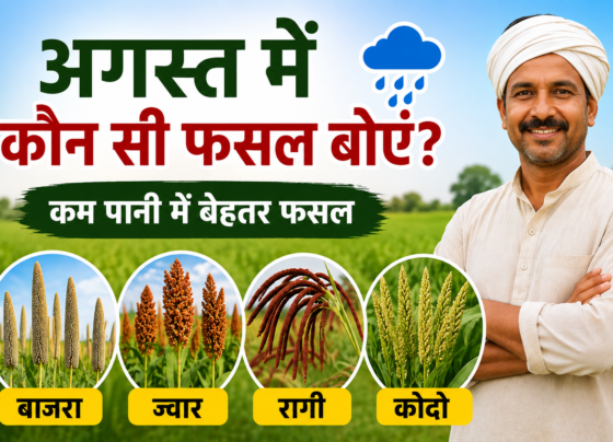 August Mein Kaun Si Fasal Boyein
