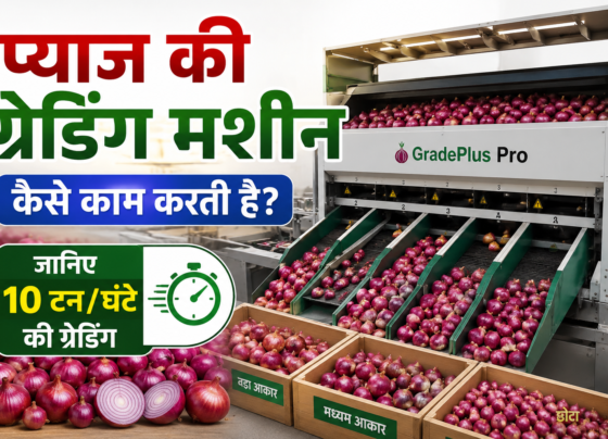 Pyaz Ki Grading Machine Kaise Kaam Karti Hai