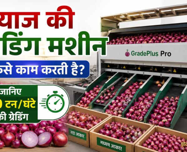 Pyaz Ki Grading Machine Kaise Kaam Karti Hai