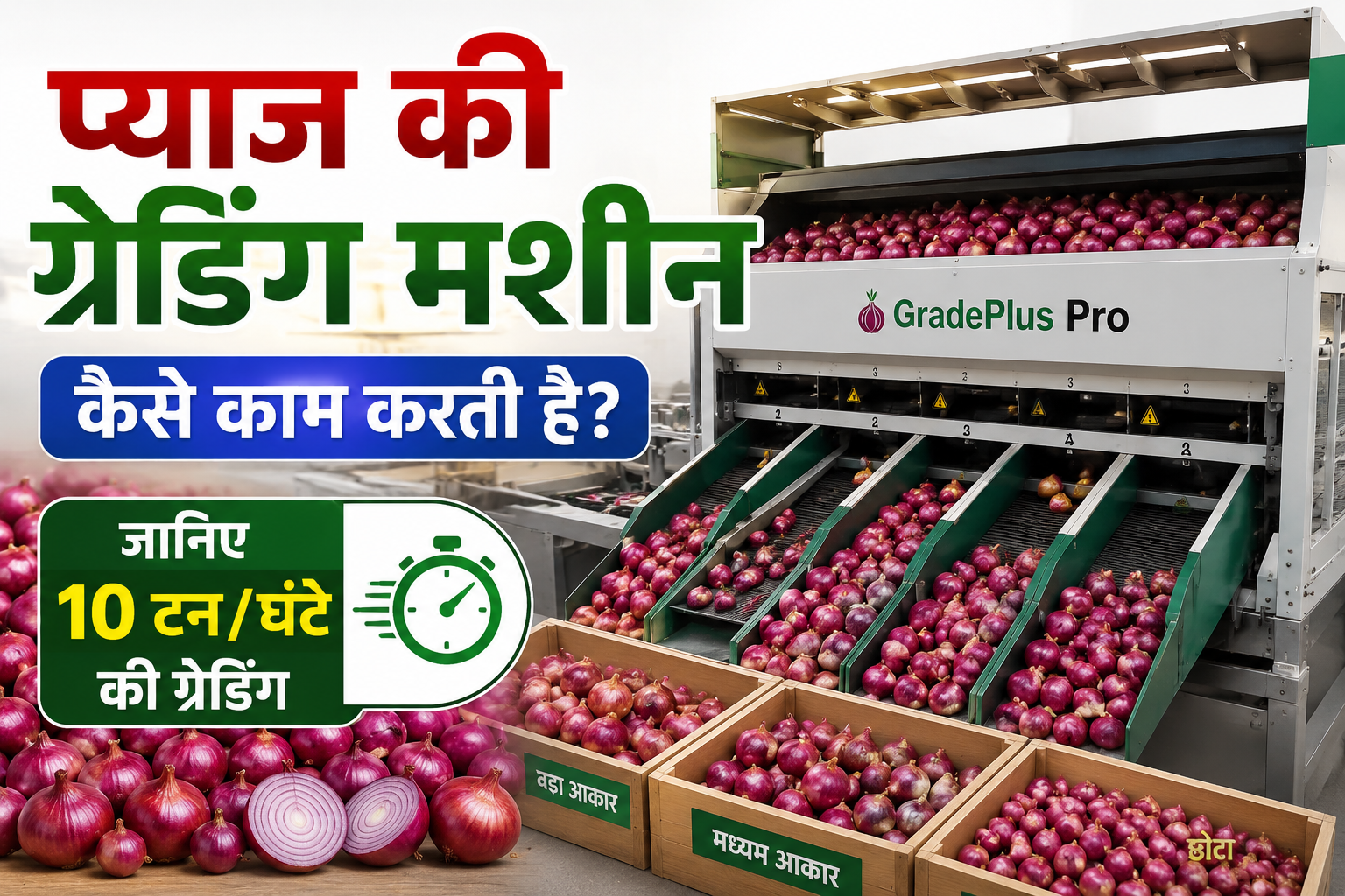 प्याज की ग्रेडिंग मशीन कैसे काम करती है? 10 टन प्रति घंटे होगी ग्रेडिंग Pyaz Ki Grading Machine Kaise Kaam Karti Hai
