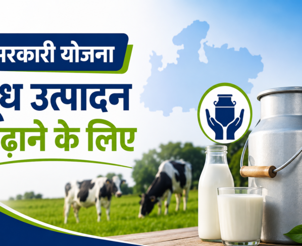 Doodh Utpadan Badhane Ke Liye Sarkari Yojana