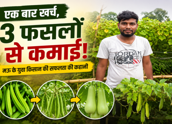 3 Fasal Se Kamai Success Story in UP