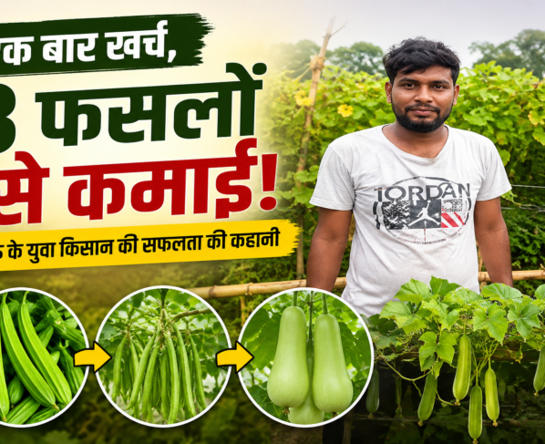 3 Fasal Se Kamai Success Story in UP
