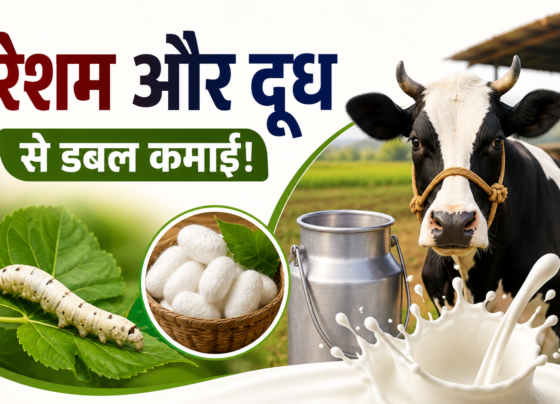 Resham Aur Doodh Yojana Maharashtra