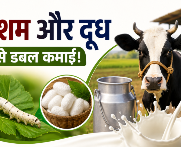 Resham Aur Doodh Yojana Maharashtra