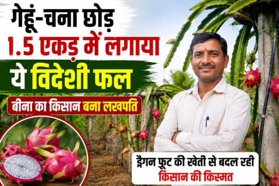 Success Story of Dragon Fruit Farming Virendra Raghuvanshi in MP