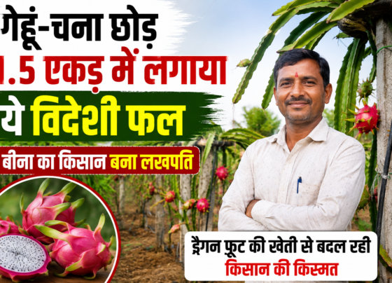 Success Story of Dragon Fruit Farming Virendra Raghuvanshi in MP