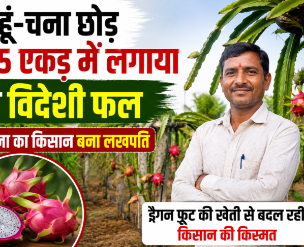 Success Story of Dragon Fruit Farming Virendra Raghuvanshi in MP