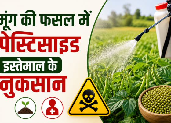 Moong Ki Fasal Mein Pesticide Istemal Karne Ke Nuksan