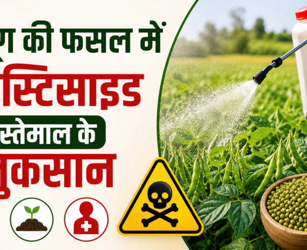 Moong Ki Fasal Mein Pesticide Istemal Karne Ke Nuksan