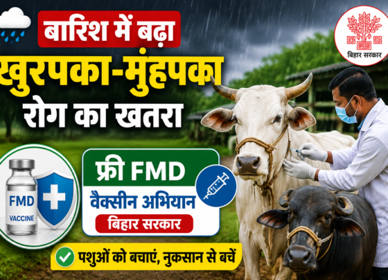 Bihar Free FMD Vaccination