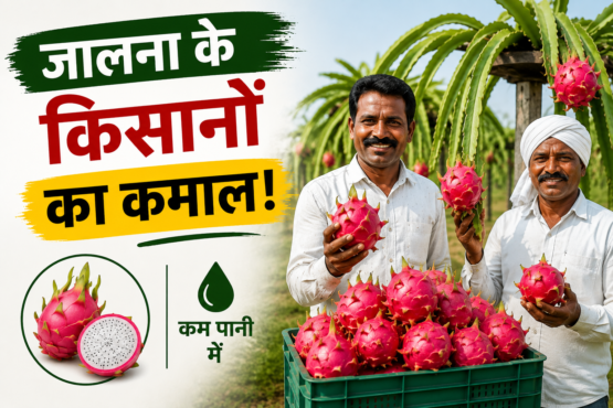 Dragon Fruit Farming Success Story in Jalna Maharashtra