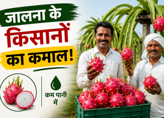 Dragon Fruit Farming Success Story in Jalna Maharashtra