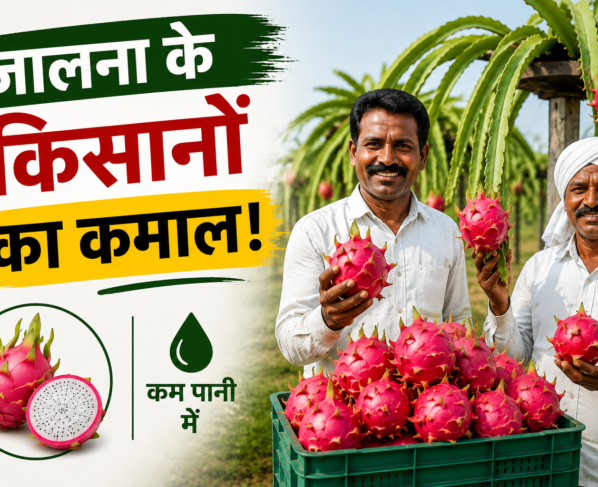 Dragon Fruit Farming Success Story in Jalna Maharashtra