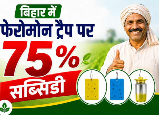 Bihar Me Pheromone Trap Subsidy 2026