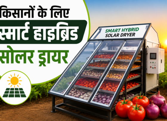 Kisano Ke Liye Smart Hybrid Solar Drye