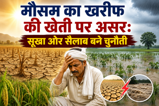 Mausam Ka Kharif Ki Kheti Par Asar