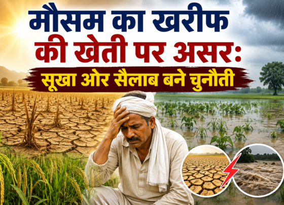 Mausam Ka Kharif Ki Kheti Par Asar