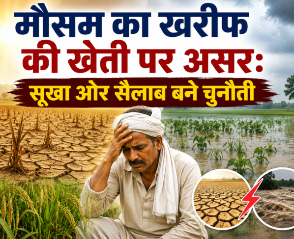 Mausam Ka Kharif Ki Kheti Par Asar