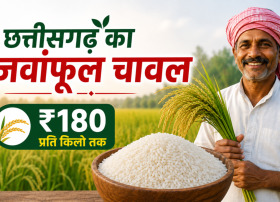 Chhattisgarh Jawanphool Chawal