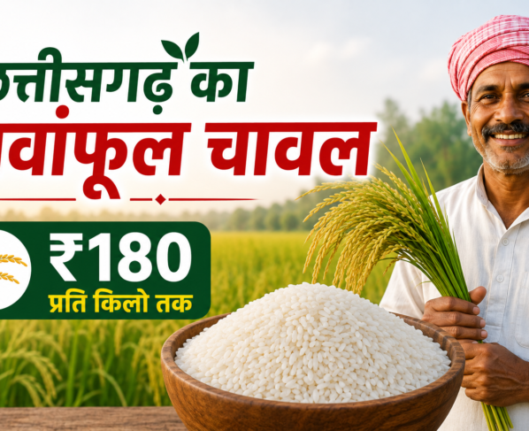 Chhattisgarh Jawanphool Chawal