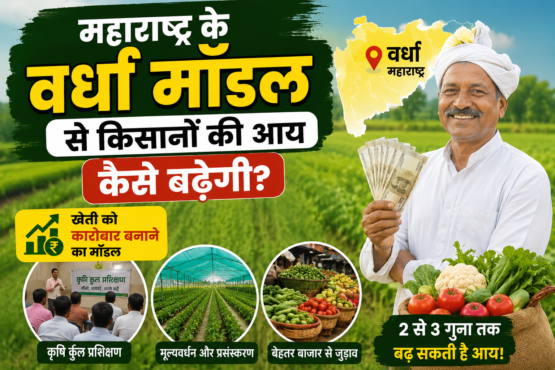 Maharashtra Ke Wardha Model Se Kisanon Ki Aay Kaise Badhegi?