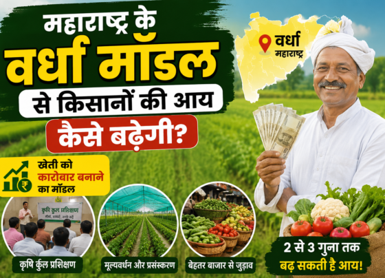 Maharashtra Ke Wardha Model Se Kisanon Ki Aay Kaise Badhegi?