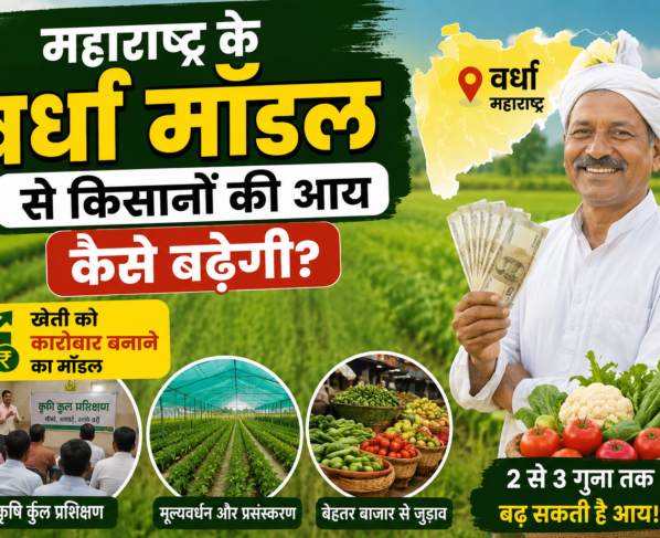 Maharashtra Ke Wardha Model Se Kisanon Ki Aay Kaise Badhegi?