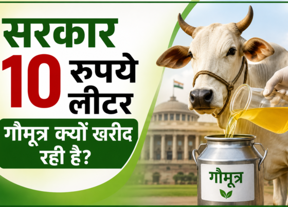 Sarkar 10 Rupaye Litre Gaumutra Kyon Kharid Rahi Hai