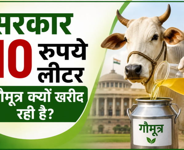 Sarkar 10 Rupaye Litre Gaumutra Kyon Kharid Rahi Hai
