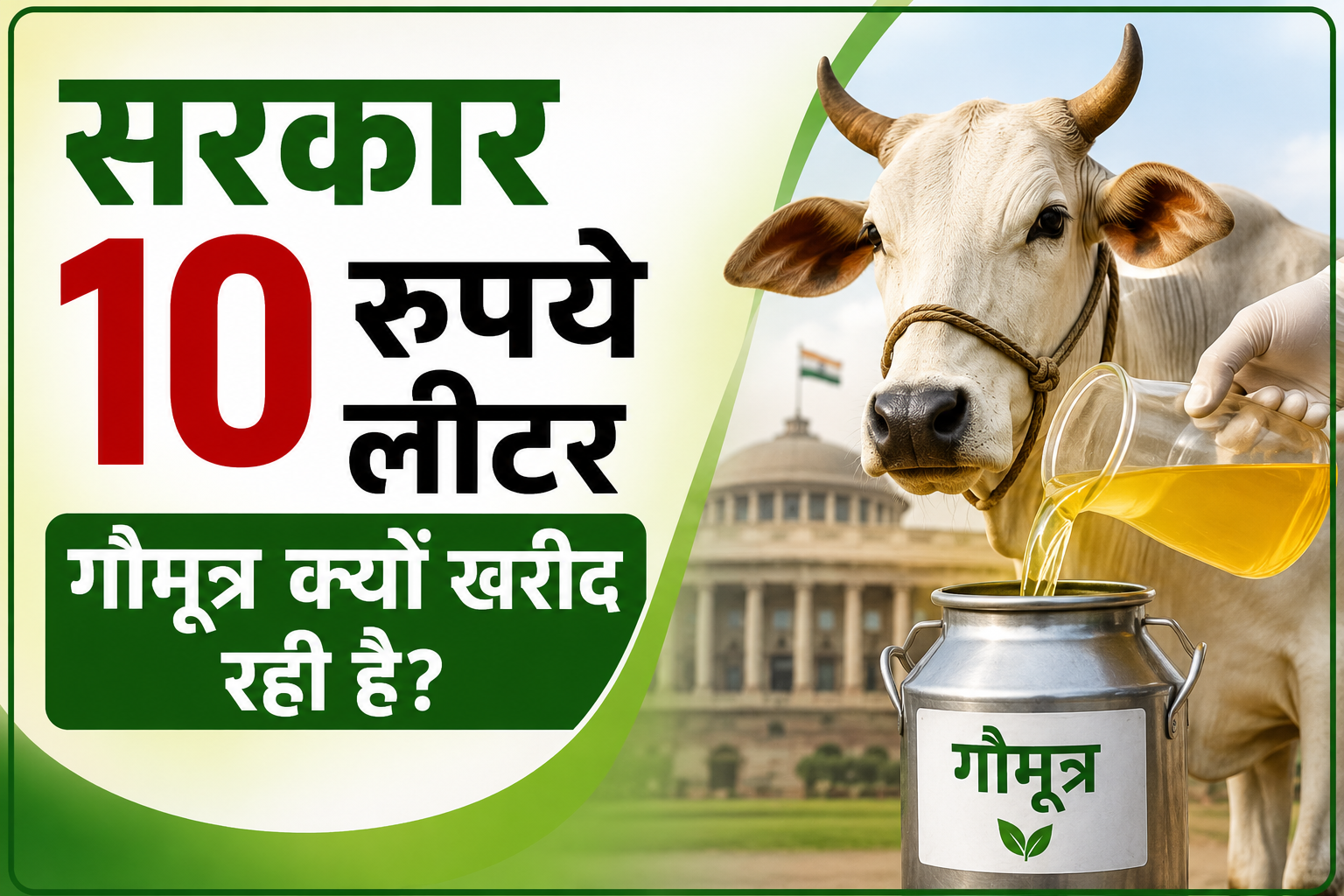 सरकार 10 रुपये लीटर गौमूत्र क्यों खरीद रही है? जानें पूरी वजह Sarkar 10 Rupaye Litre Gaumutra Kyon Kharid Rahi Hai