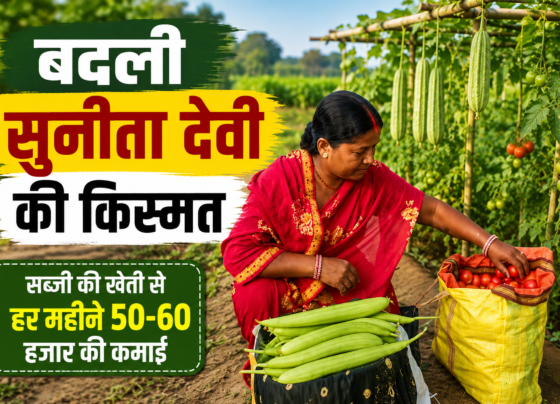 Sunita Devi Vegetable Farming Success Story in Jharkhand