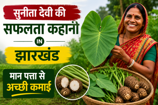 Sunita Devi Farming Success Story in Jharkhand