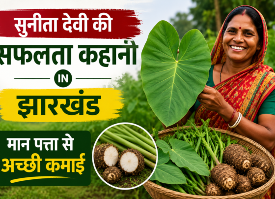 Sunita Devi Farming Success Story in Jharkhand