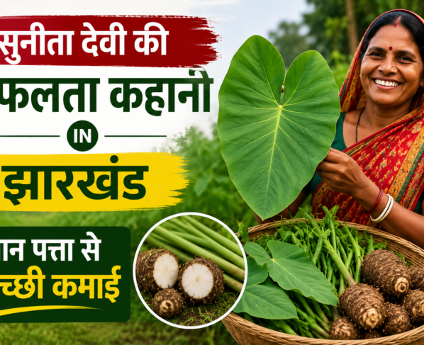 Sunita Devi Farming Success Story in Jharkhand