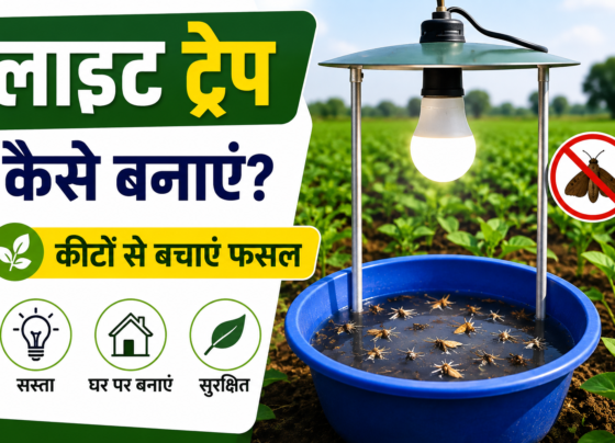 Light Trap Kaise Banaye?