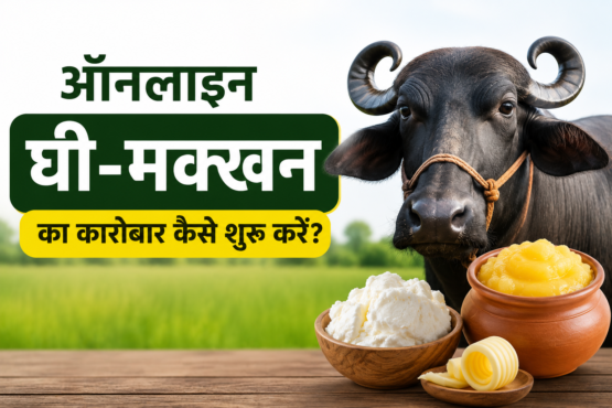 Online Ghee Makhan Ka Karobar Kaise Shuru Kare?