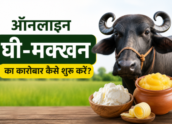 Online Ghee Makhan Ka Karobar Kaise Shuru Kare?