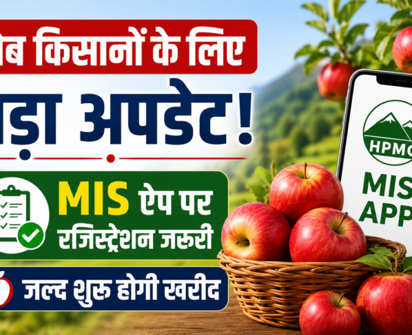 Himachal Pradesh Me Apple MIS Registration 2026