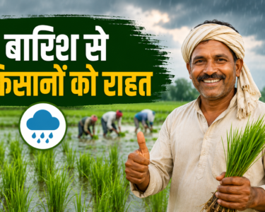 Bhadohi Mein Barish Se Kisanon Ko Rahat
