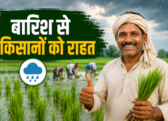 Bhadohi Mein Barish Se Kisanon Ko Rahat