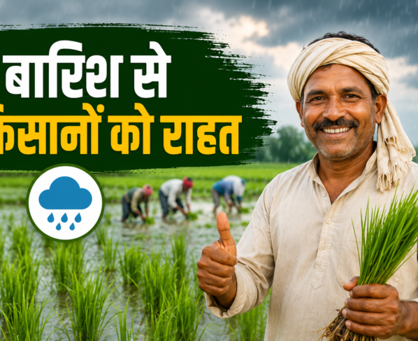 Bhadohi Mein Barish Se Kisanon Ko Rahat