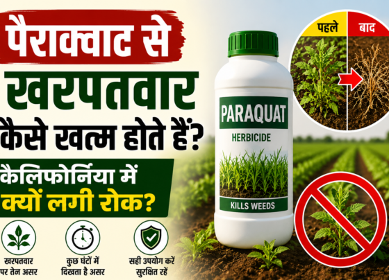 Paraquat Se Kharpatwar Kaise Khatam Hote Hain?