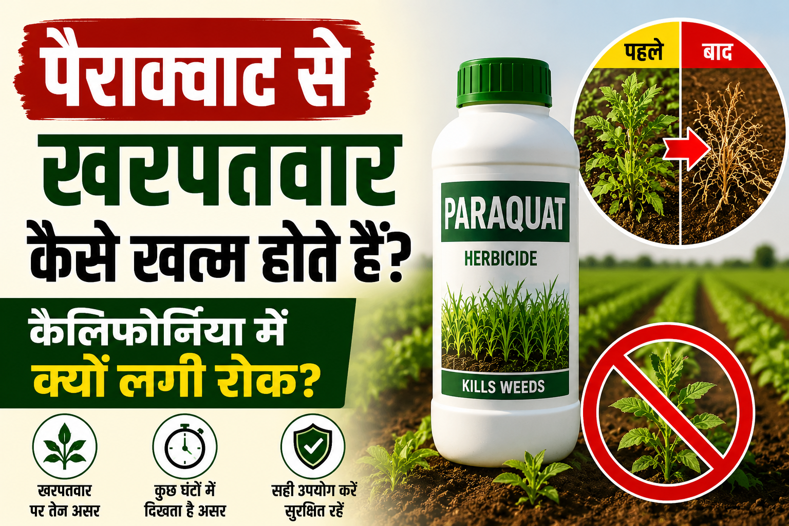 पैराक्वाट से खरपतवार कैसे खत्म होते हैं? किसानों के लिए जरूरी जानकारी Paraquat Se Kharpatwar Kaise Khatam Hote Hain?