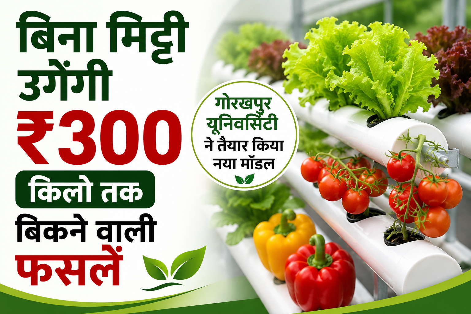 बिना मिट्टी उगेंगी ₹300 किलो तक बिकने वाली फसलों का नया मॉडल Hydroponic Farming Kaise Karein
