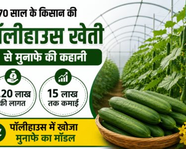 Success Story of Polyhouse Farming Sonaram Yadav