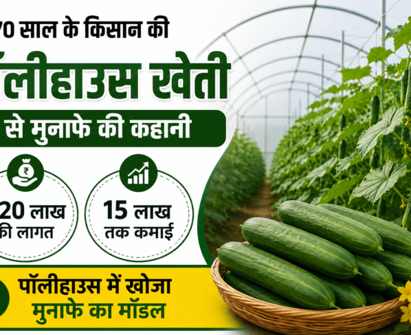 Success Story of Polyhouse Farming Sonaram Yadav