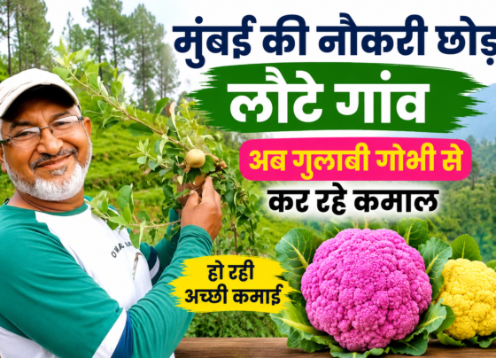 Cauliflower Farming Success Story in Uttarakhand