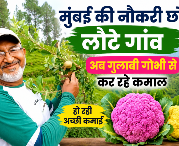 Cauliflower Farming Success Story in Uttarakhand